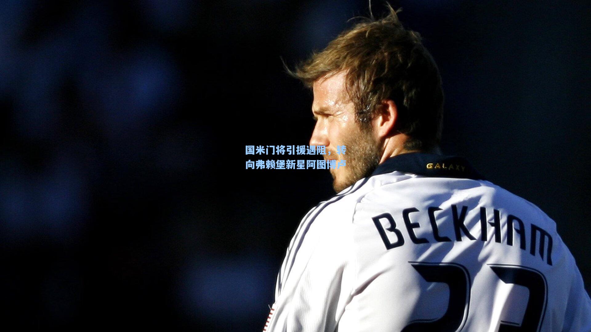 国米门将引援遇阻，转向弗赖堡新星阿图博卢  第1张