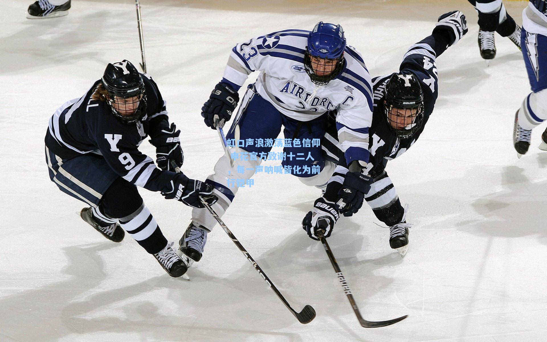 虹口声浪激荡蓝色信仰 申花官方致谢十二人，每一声呐喊皆化为前行铠甲