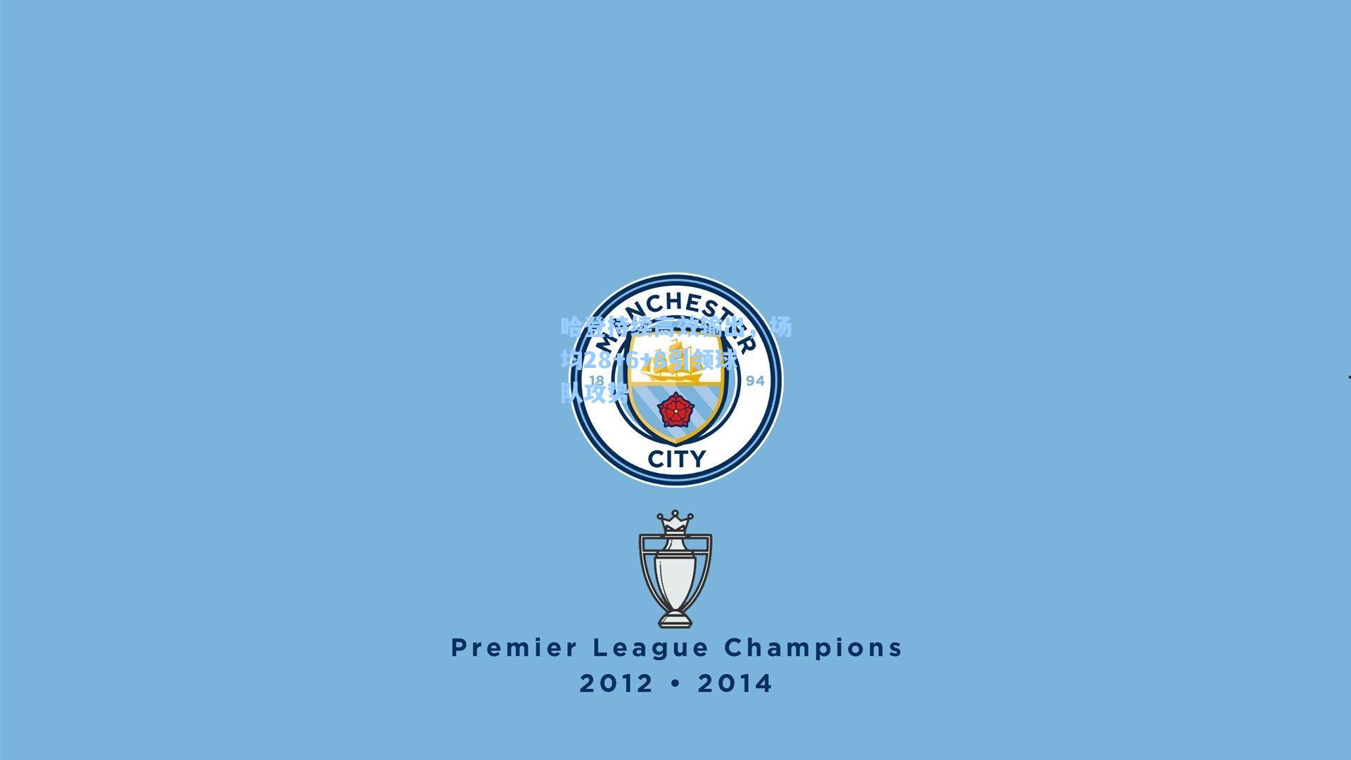 哈登持续高效输出，场均28+6+8引领球队攻势  第1张